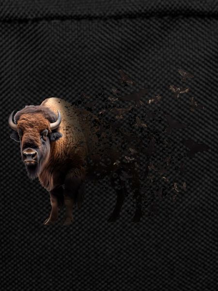Bison
