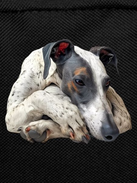 Whippet