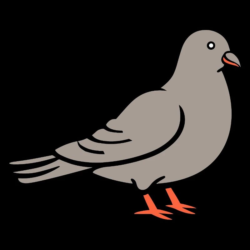 pigeon