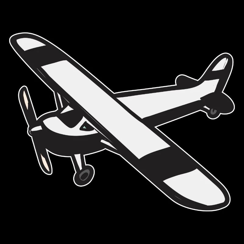 Modèle d’avion télécommandé