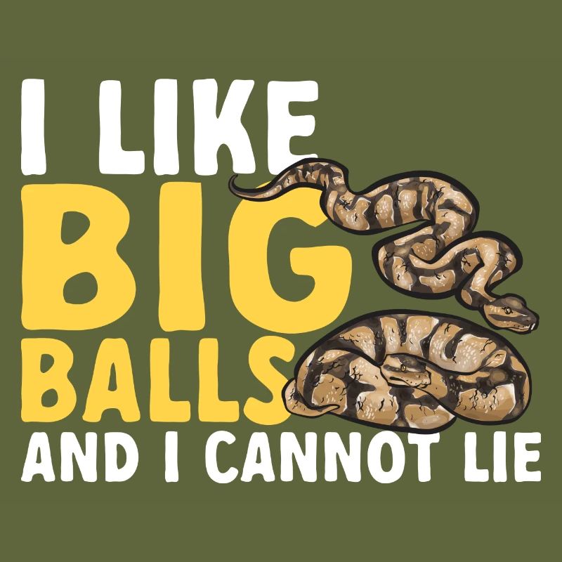 Ball Python Schlange Königspython