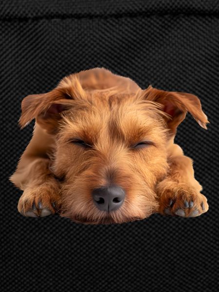 Irish Terrier