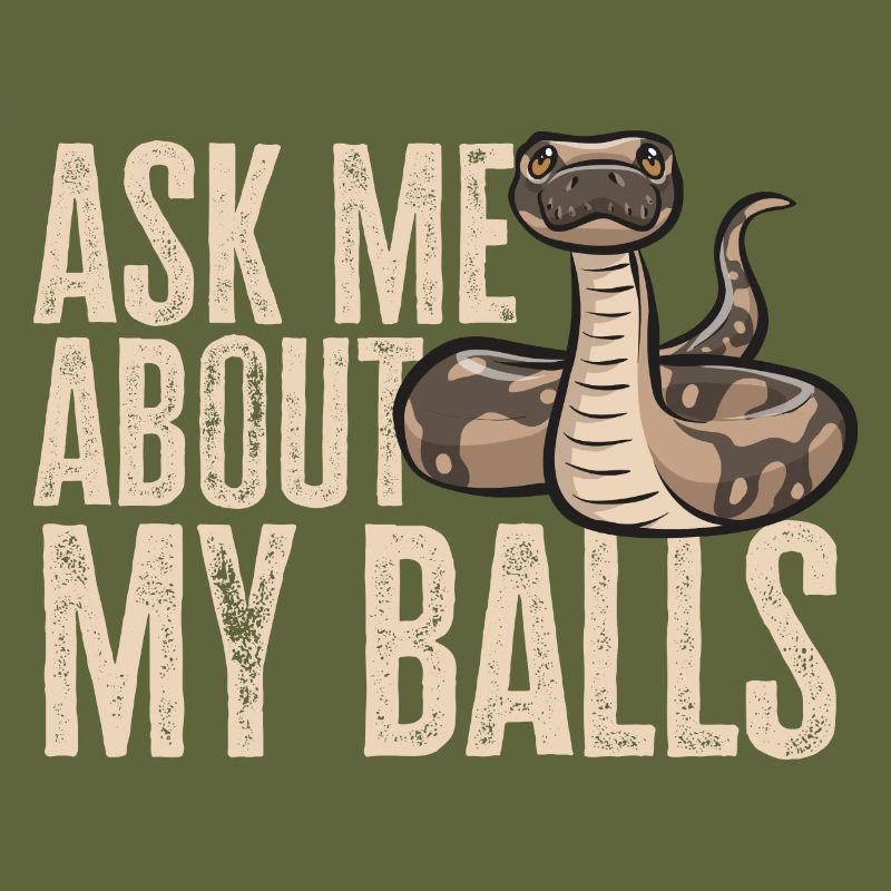 Ball Python Schlange Königspython