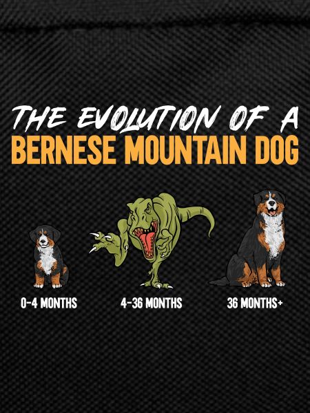 Bernese Mountain Dog