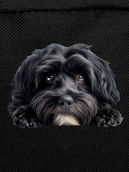 Havanese