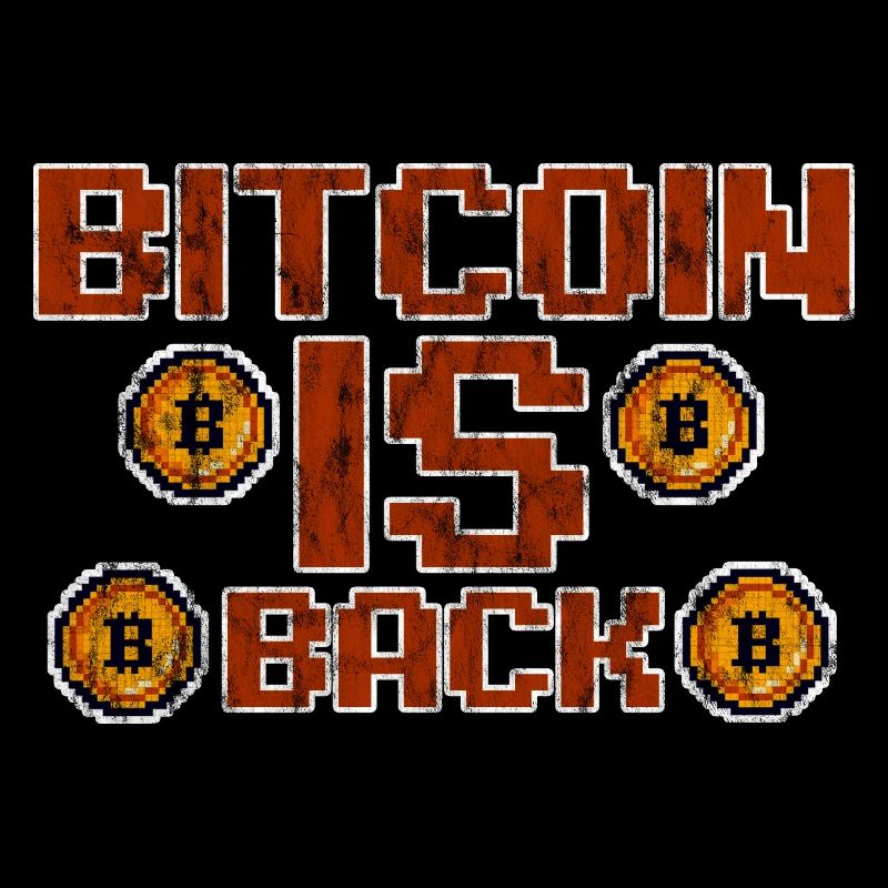 Bitcoin Is Back 3