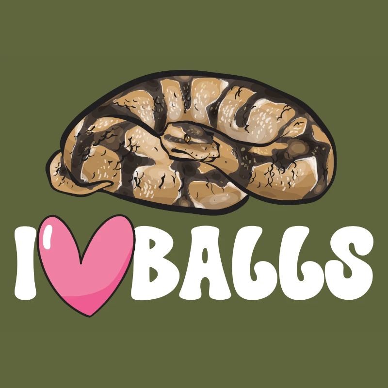 Ball Python Schlange Königspython