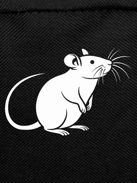 Rat