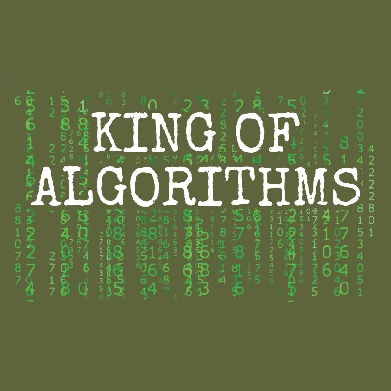 Software Ingenieur Informatiker Programmierer