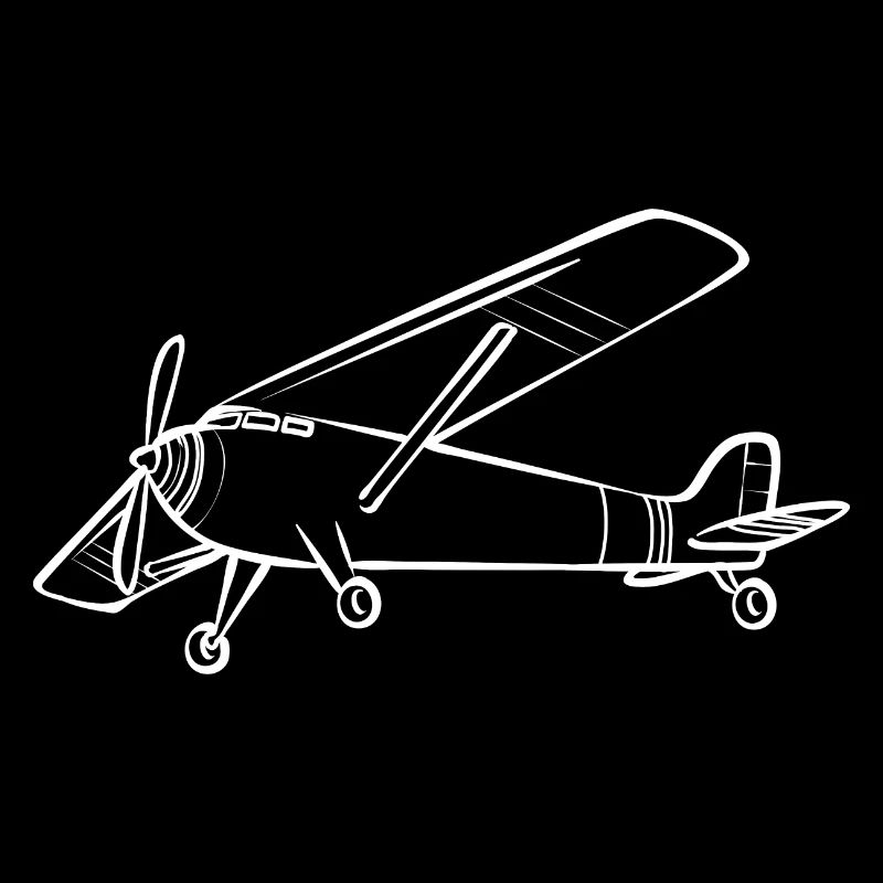 Remote Controlled Airplane Model Airplane