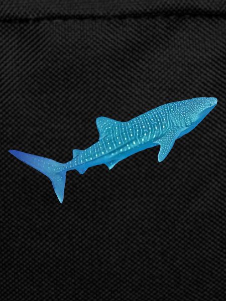 Whale shark