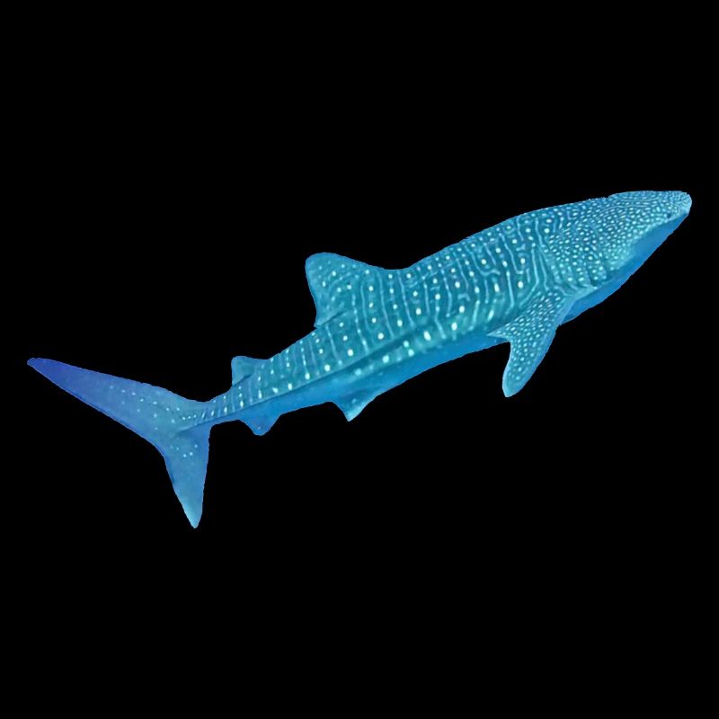 Walhai