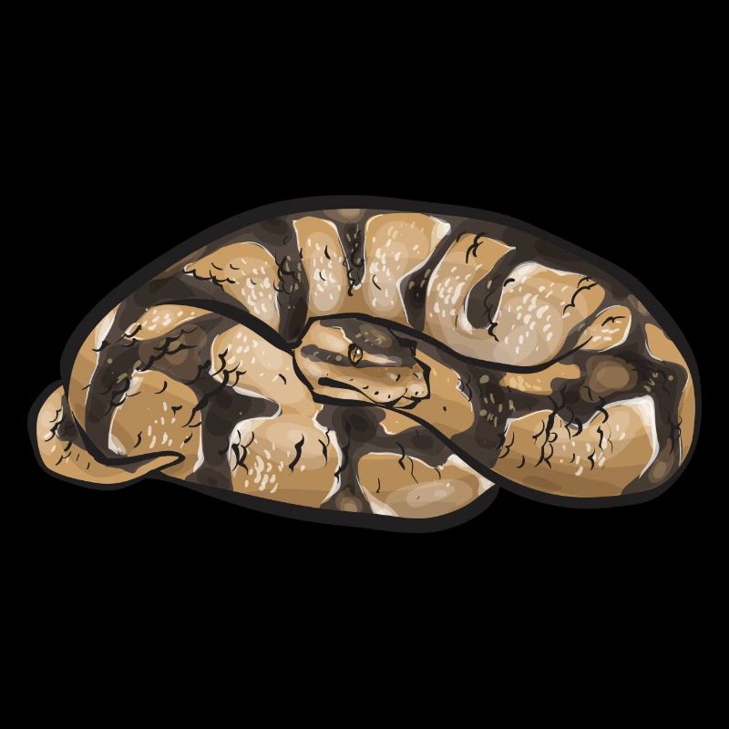 Ball Python Schlange Königspython