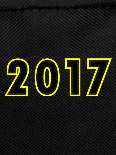 2017 Year Birthday