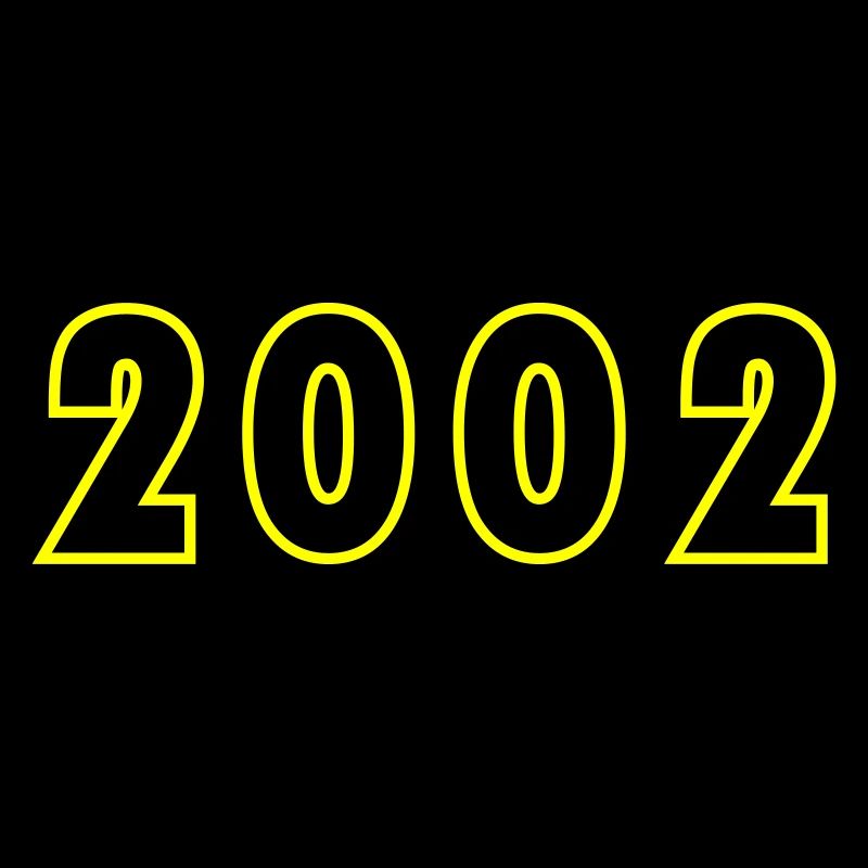 2002 Year Birthday