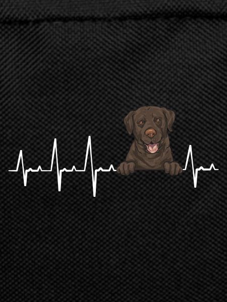 Chocolate Labrador Retriever Dog