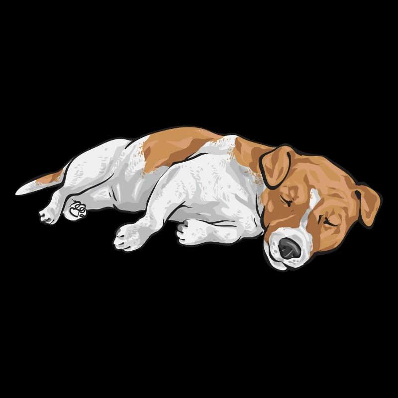 Jack Russell Terrier