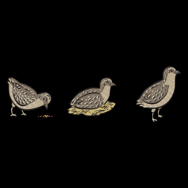 Quail Bird