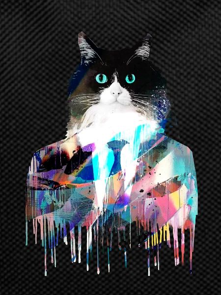 tuxedo, cat,suit,graffiti,tuxedokatze