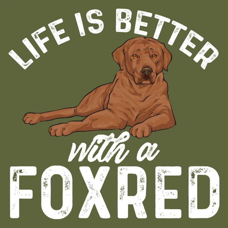 Foxred Labrador Fox Red Labrador Retriever