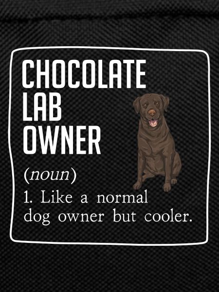 Chocolate Labrador Retriever Dog