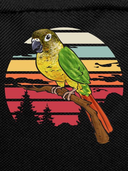 Molina Parakeet Parrot Bird Parakeet