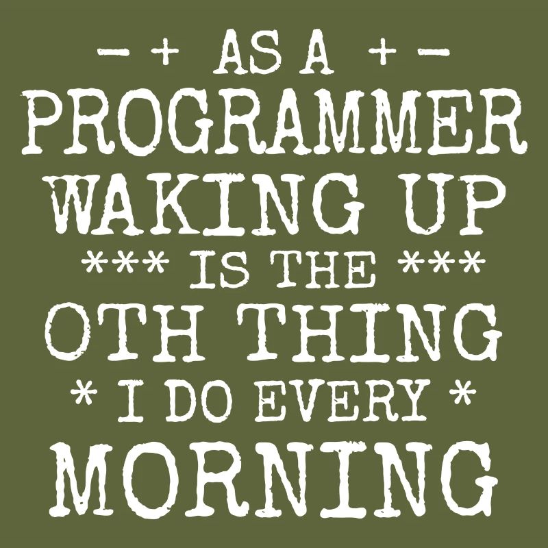 Software Ingenieur Informatiker Programmierer