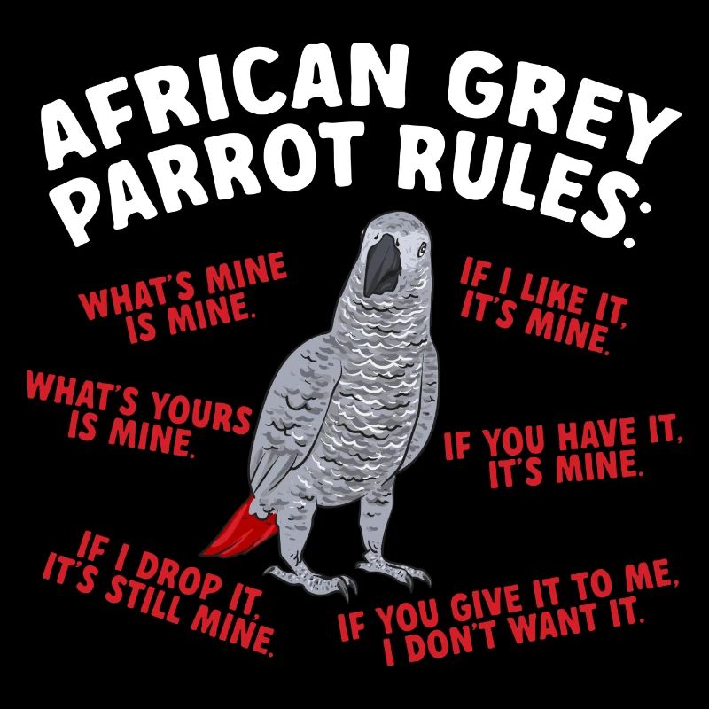 Graupapagei African Grey Parrot Papagei