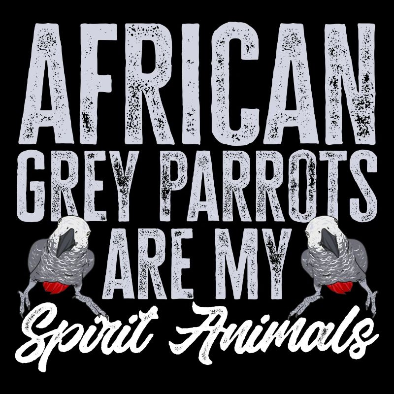 Graupapagei African Grey Parrot Papagei