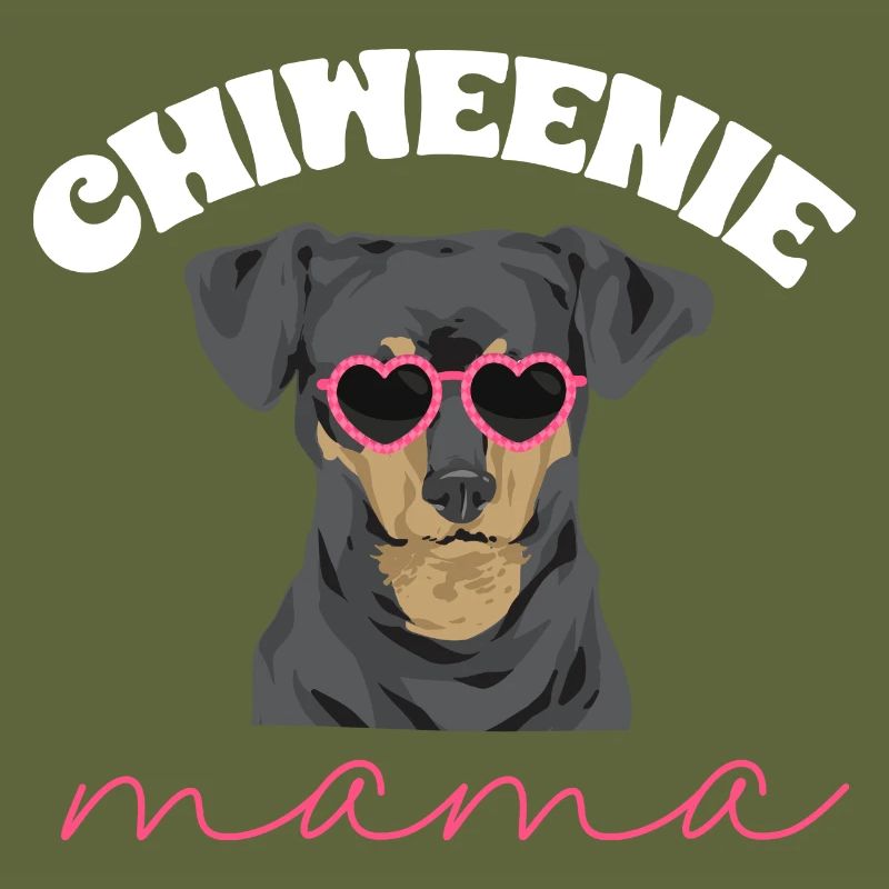 Chiweenie Dog