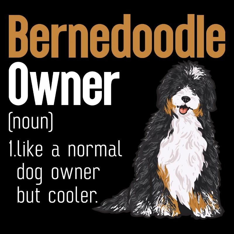 Chien Bernedoodle