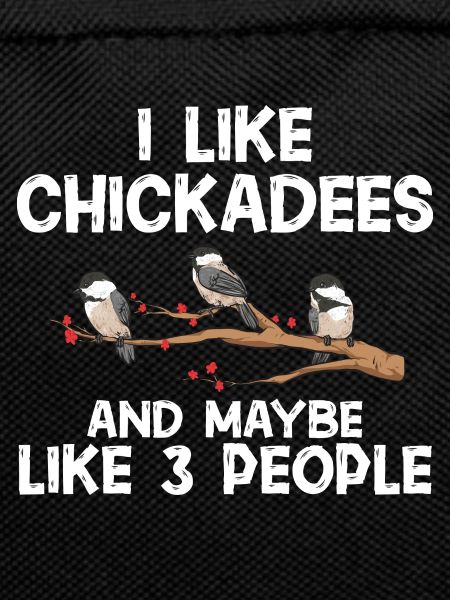 Bird Chickadee Bird Watching
