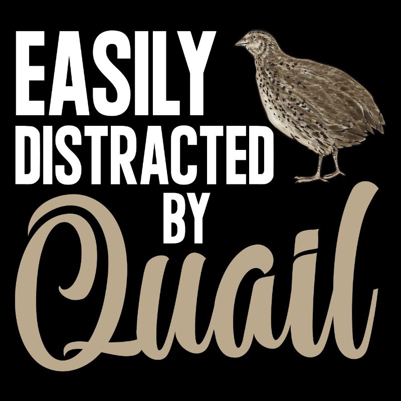 Quail Bird