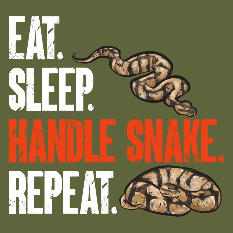 Ball Python Snake King Python