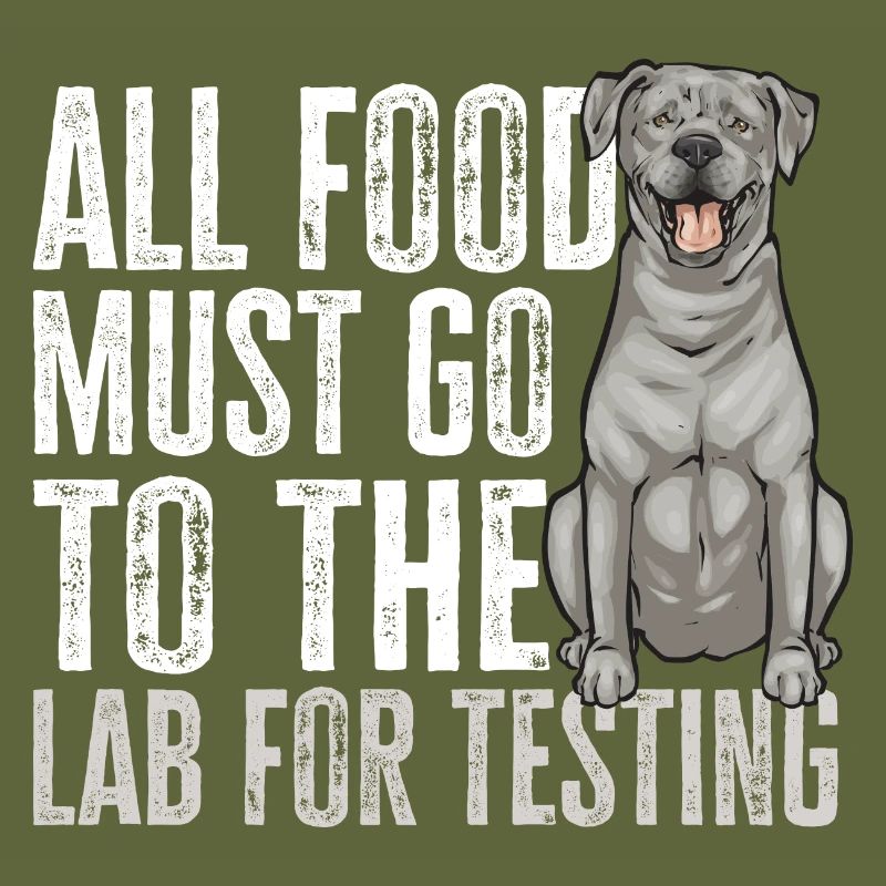 Silberner Labrador Retriever Silberner Lab