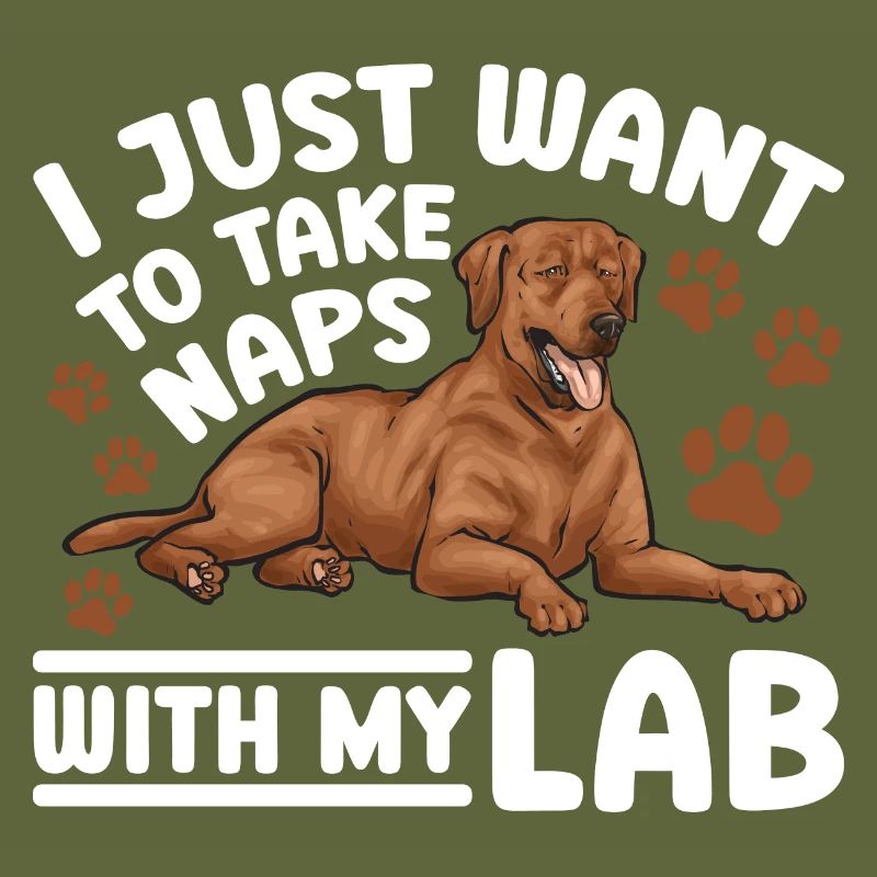 Fuchsroter Labrador Retriever Fox Red Labrador