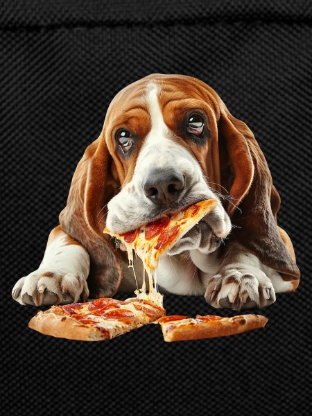 Basset