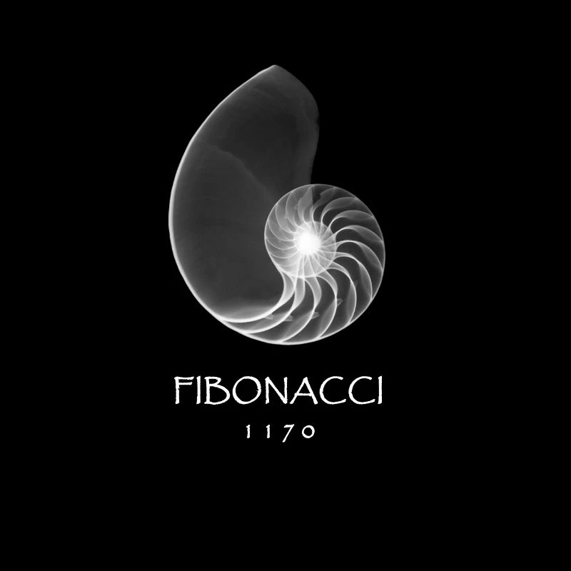 Fibonacci, geb. 1170 - Nautilusmuschel Spirale Rön