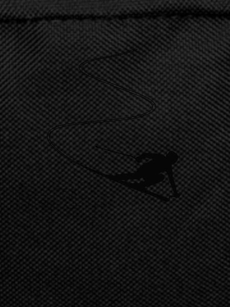 Skier skiing winter sport