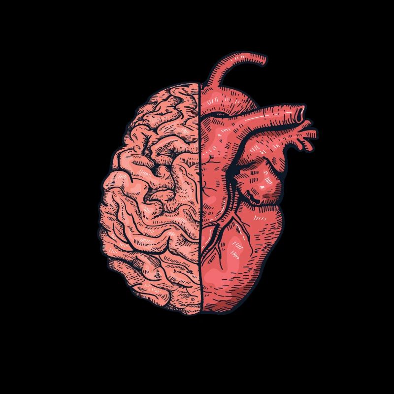 Half heart half brain mind and emotions