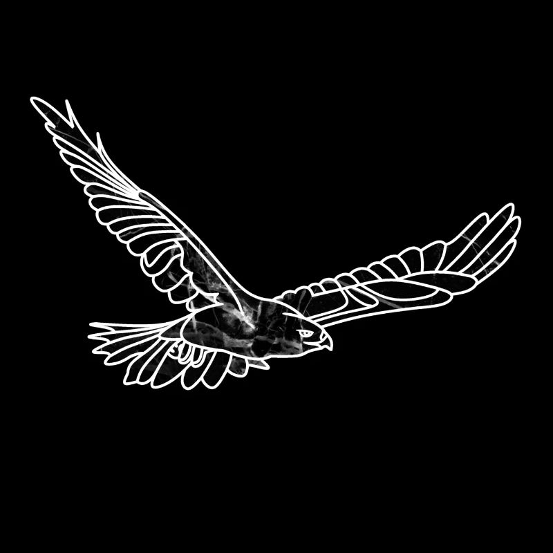 Hawk Black Marble