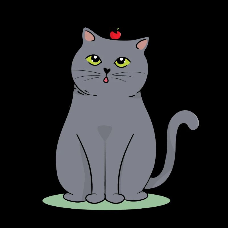 Britisch Kurzhaar Katze