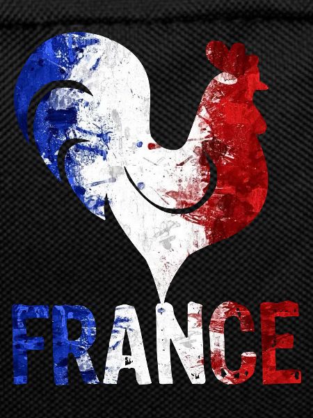 Go France | French supporter!!!