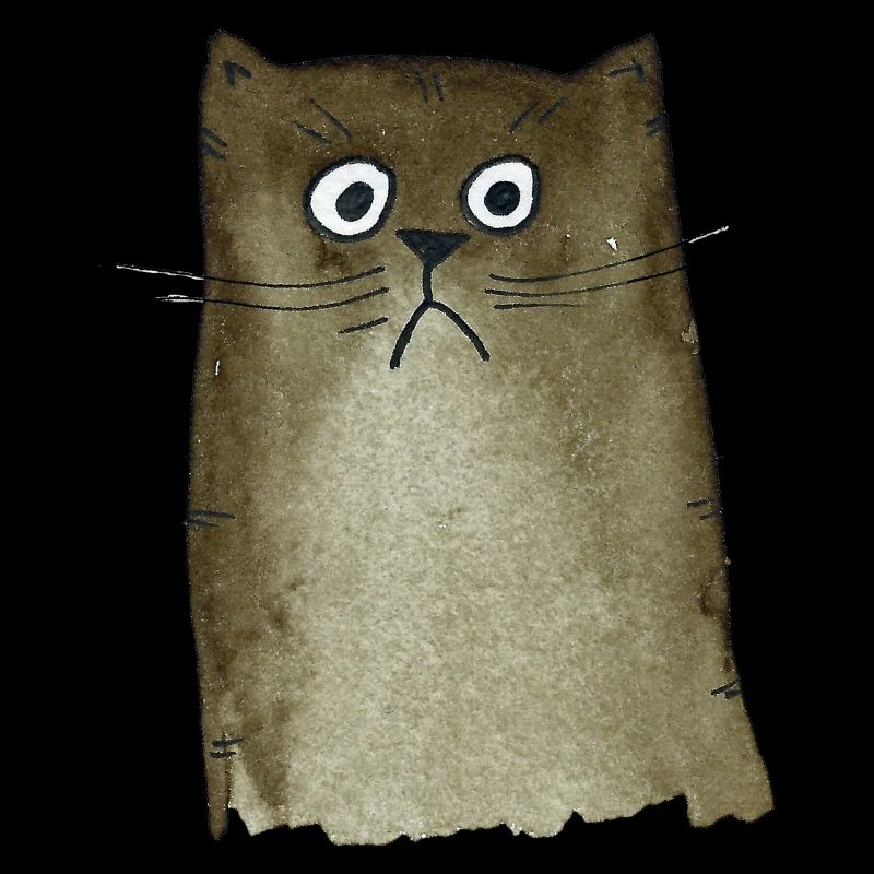 Cat brown
