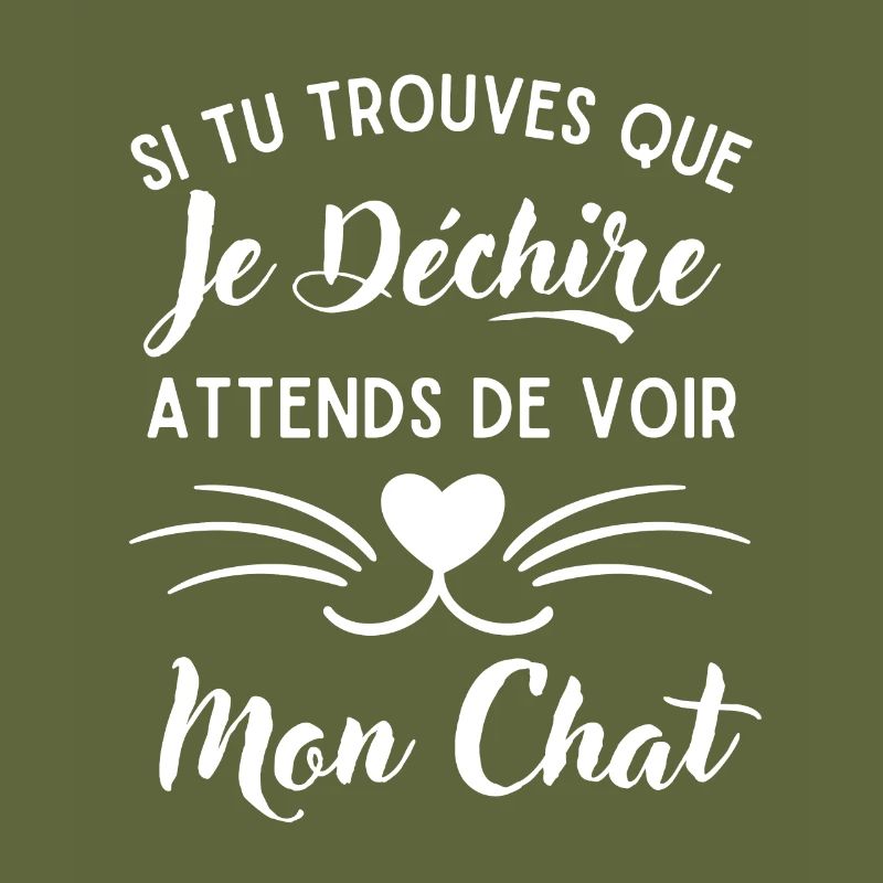 Mon Chat qui déchire 1