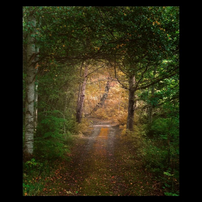 Wald