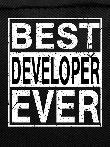 Best Developer Ever Developer Gift