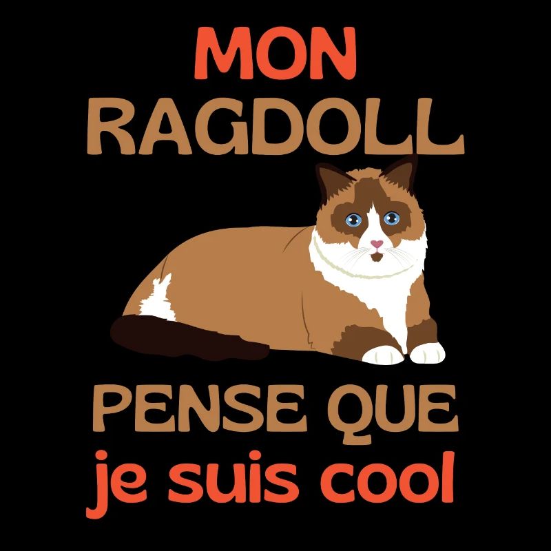 Chat mignon Ragdoll