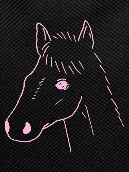 Horse Drawing