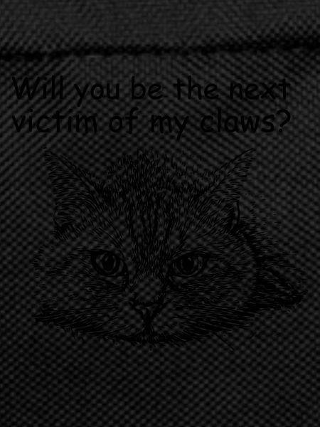 Sarcastic Funny Cat Scratch Cat